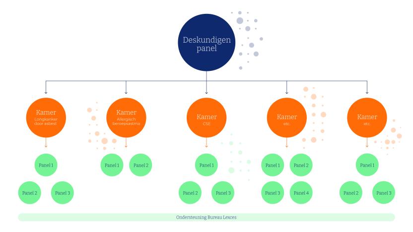 deskundigenpanel diagram